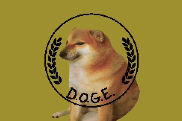 A DOGE staffer broke Treasury policy by…