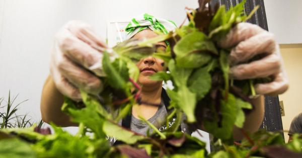 Salad Chains Are Seeing Foot Traffic…