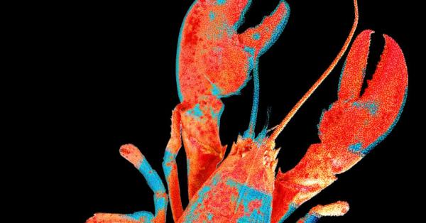 Moltbook, the Social Network for AI Agents, Exposed Real&hellip;