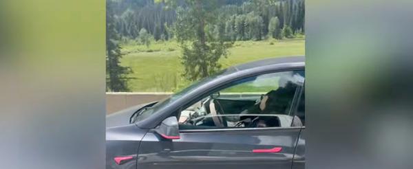 Tesla in-cabin camera fails to prevent 60 mph naps as Wisk&hellip;