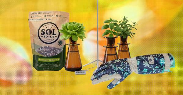 photo of 19 Best Gifts for Plant Lovers and Gardeners (2026) image