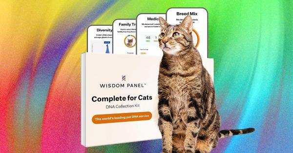 photo of What’s the Best Pet DNA Test? We Tested the Most Popular Ones image