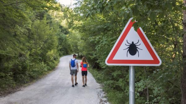 photo of New York’s Latest Tourist? A Rare, Potentially More Severe Form of Lyme Disease image