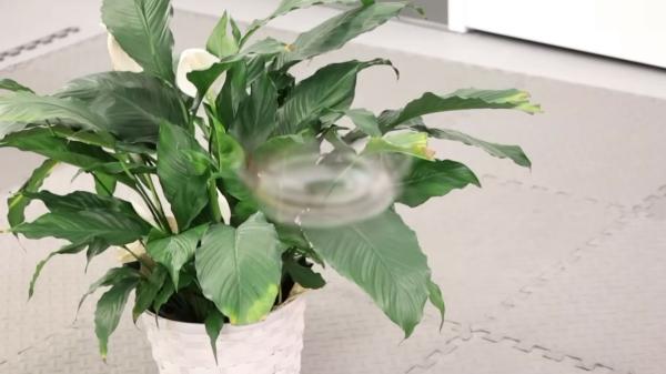 ‘Phantom Twist’ drone spins so fast that it is nearly…