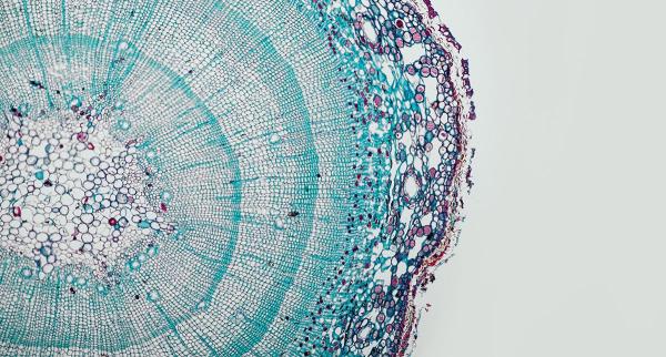 'Every living thing on Earth runs on the&hellip;