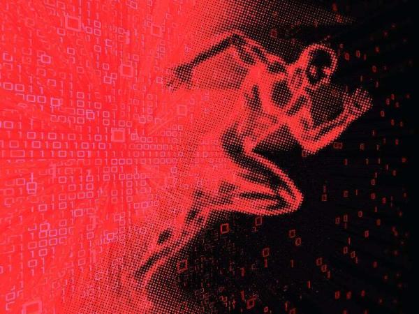 photo of How software engineering will evolve in 2024 image