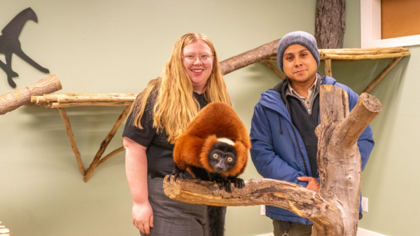 photo of Forget Dr Doolittle, study finds animals might not only want to use tech, but they also want to talk to us with it —&hellip; image