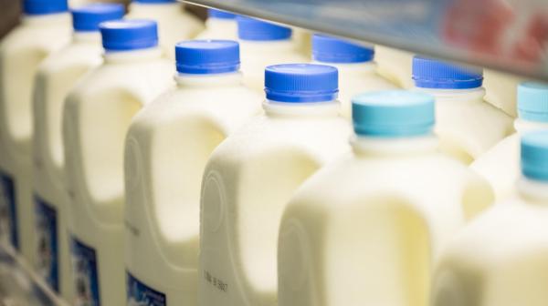 photo of Microsoft President Says Milk and Washing Machines Face More Safety Regulations Than AI image