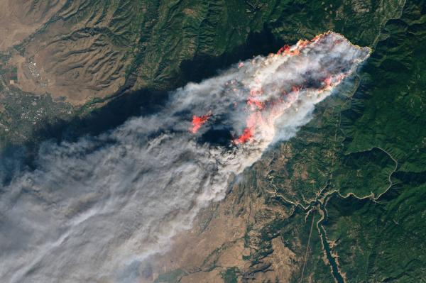 photo of Google and Muon Space launch a new satellite to battle wildfires image