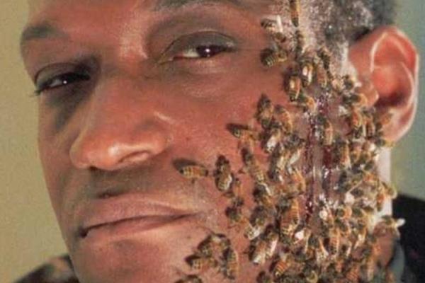 photo of RIP Tony Todd, Horror’s Candyman and All-Around Beloved Actor image