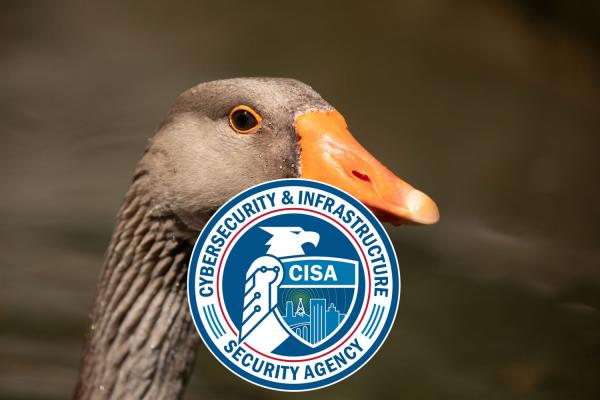 photo of CISA releases open source Untitled Goose Tool to detect malicious activity in Azure, Azure Active Directory and… image