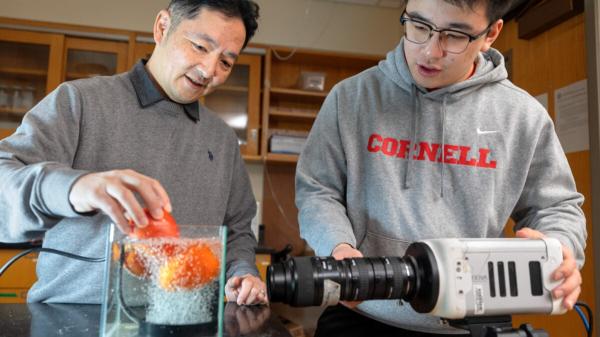 Scientists Found a Weird New Way to Wash&hellip;