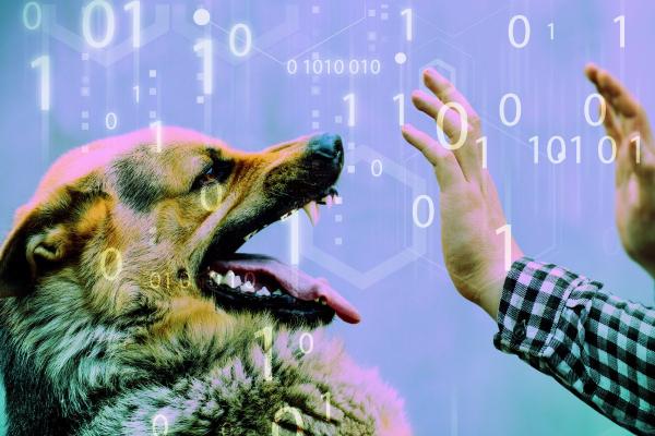 photo of When open source cloud development doesn't play nice image