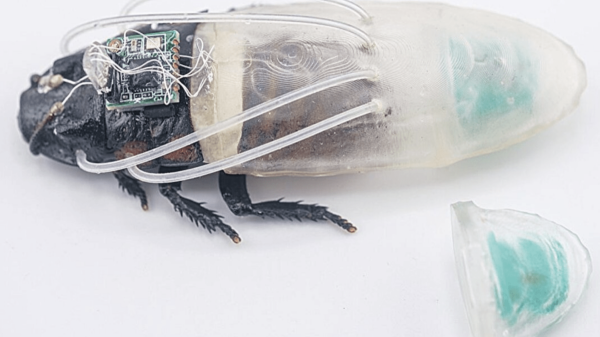 Scientists Built Amphibious Cyborg Cockroaches and We Regret&hellip;