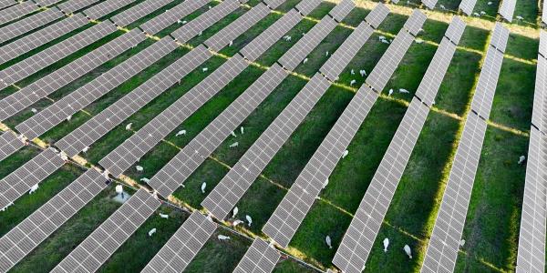 Solar adds more new capacity to the US grid in 2024 than any energy source in 20 years