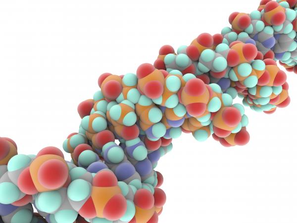 photo of Coronavirus pushes Folding@Home’s crowdsourced molecular science to exaflop levels image