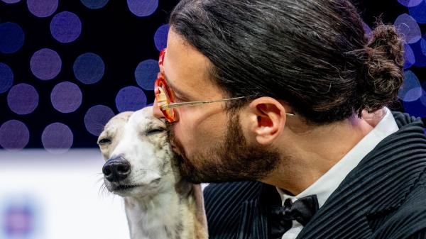 photo of How to watch Crufts 2026 for *FREE* — Live Streams, Schedule & Preview image