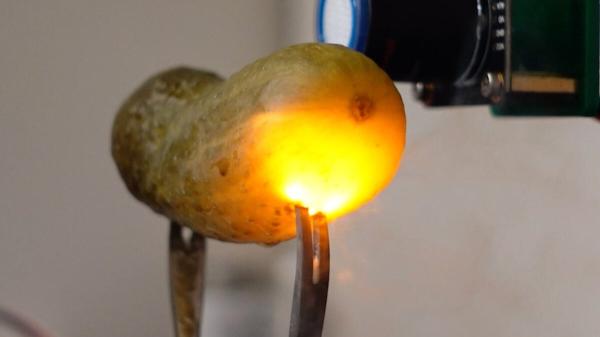 photo of Why Pickles Light Up When You Electrocute Them image