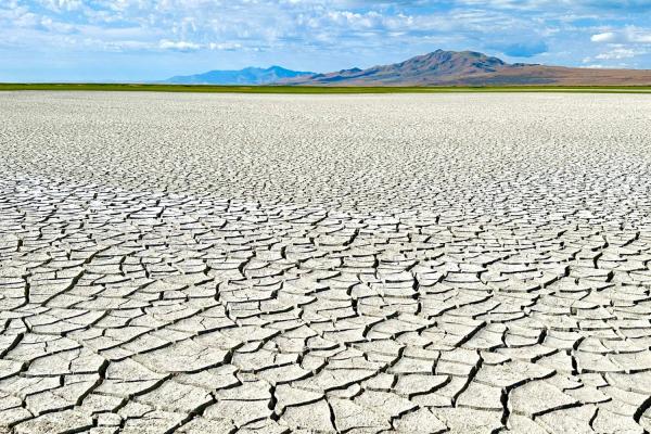 photo of The Great Salt Lake Is Dying, But These Scientists Have a Solution image