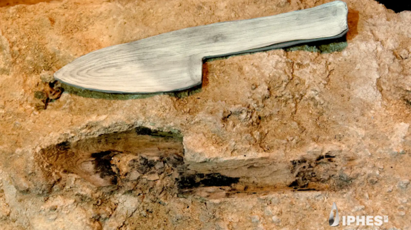 photo of Neanderthal wooden tools from Spain found preserved in stone image
