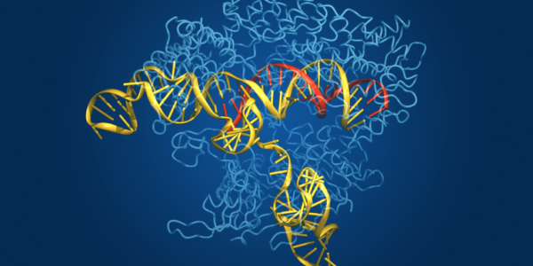 photo of New algorithm finds lots of gene-editing enzymes in environmental DNA image