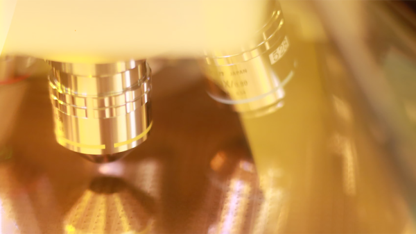 China intensifies efforts to poach&hellip;