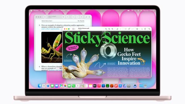 Why is this the only pink MacBook…