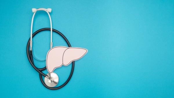 photo of Organ Transplants Without Lifelong Meds? New Trial Shows It’s Possible image