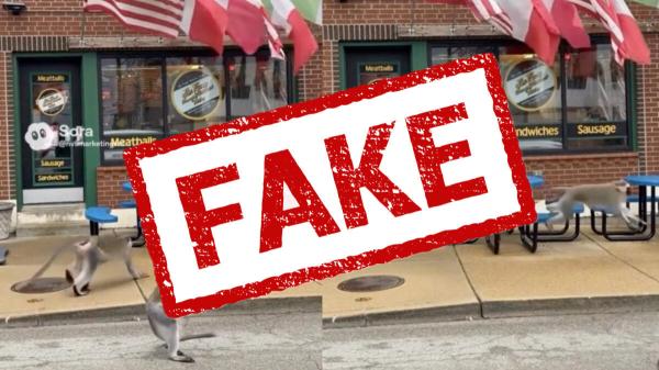 AI Images Create Confusion as Real Gang&hellip;