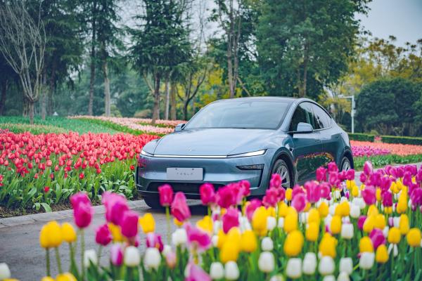 Tesla looks to expand into new Asian…