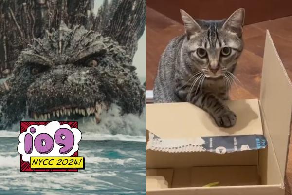 photo of Godzilla Minus One‘s Director Really Wants You to Know He’s a Cat Guy image