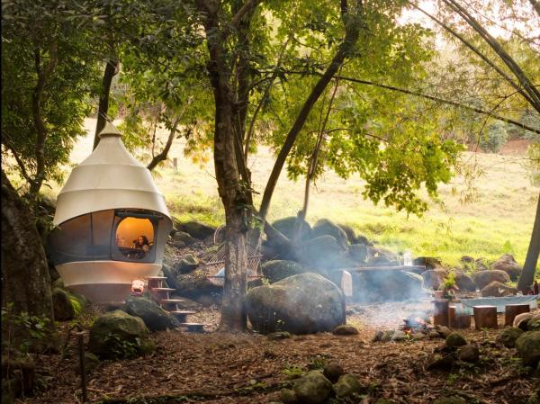 photo of These $3,400 cocoon-like tents that can hang from trees combine luxury travel and eco-tourism — take a look image