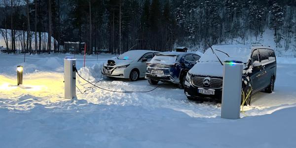 In Norway, only rental companies buy gas…