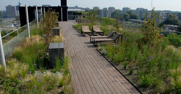 photo of Green Roofs Are Great. Blue-Green Roofs Are Even Better image