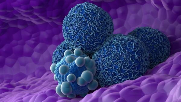 A Game-Changing Drug for Pancreatic Cancer Just Got FDA…