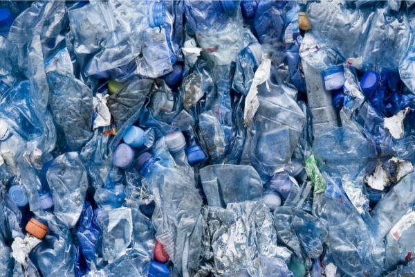 Scientists Sound the Alarm Over Plastics…