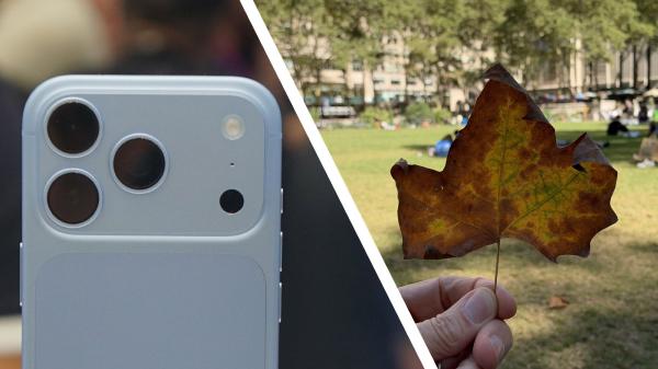 It took exactly one photo for me to…