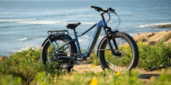 Here are the best electric bikes you can buy at every price…