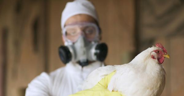 photo of The First US Bird Flu Death Is a Stark Warning image