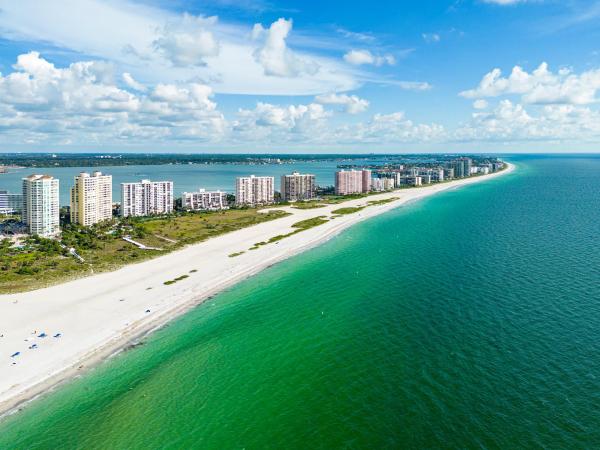 photo of Can walls of oysters protect shores against hurricanes? Darpa wants to know. image