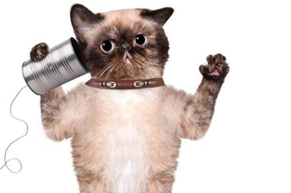 AI search is atomizing our information,&hellip;