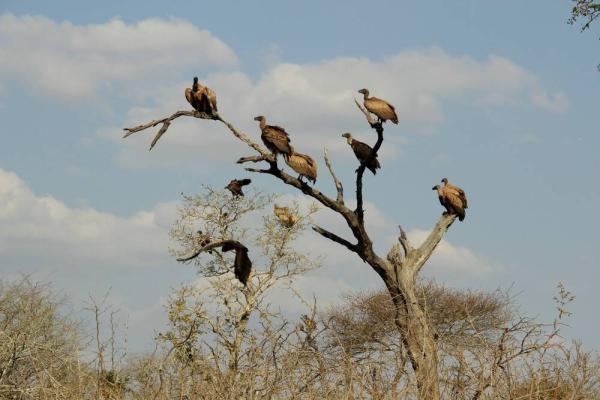 photo of Nvidia GTC will be full of surprises - just not for the consumer class image