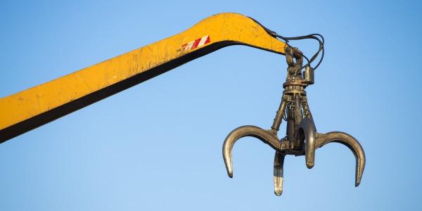 OpenAI grabs OpenClaw creator Peter…