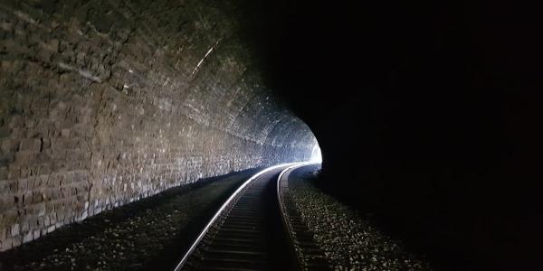 Mythos found 271 Firefox flaws – but&hellip;