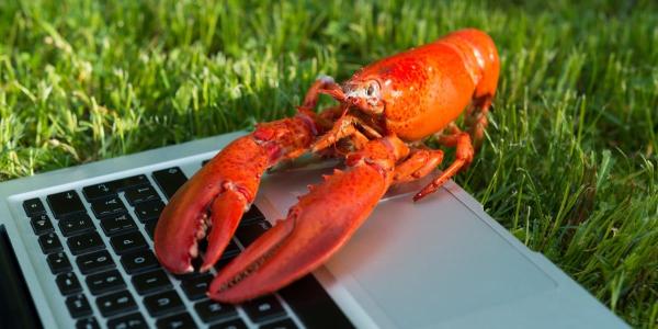 30 ClawHub skills secretly turn AI&hellip;