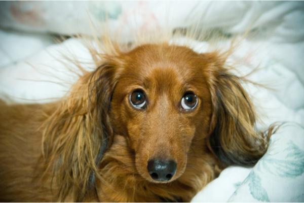 photo of What Causes Static Electricity? Scientists May Have Found the Answer image