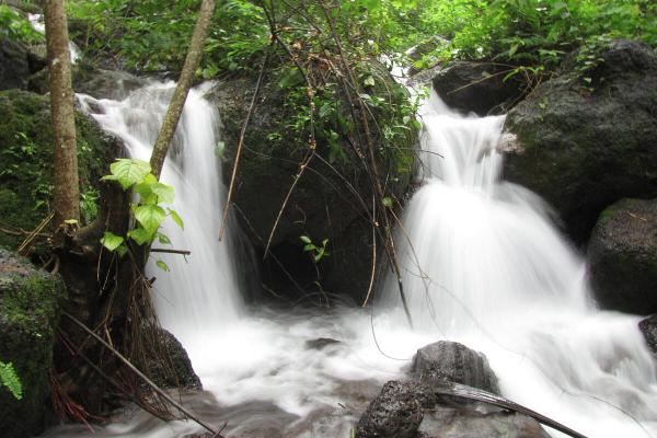 photo of How to use asynchronous streams in C# 8.0 image