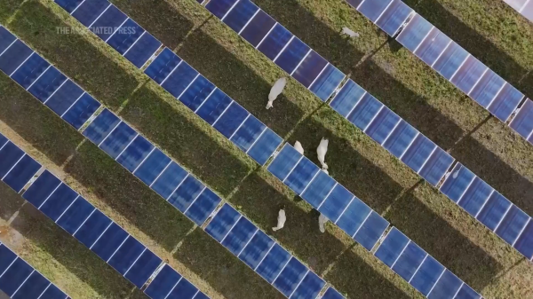 photo of Fires linked to solar panels force Suffolk council to switch them off in 80 schools indefinitely image