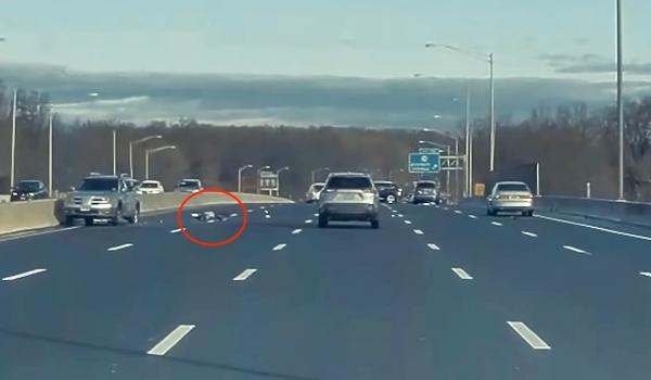 photo of Tesla dashcam captures best of humanity as Model X owner, other drivers, protect woman ejected from car image