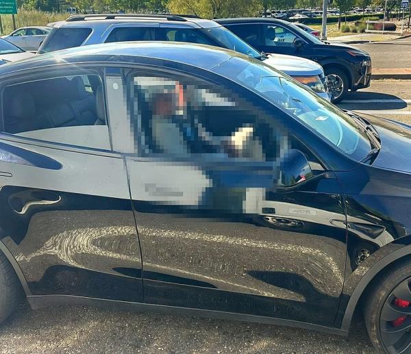 Tesla drives drunk owner while he naps,&hellip;